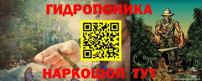 мдпв Гусь-Хрустальный