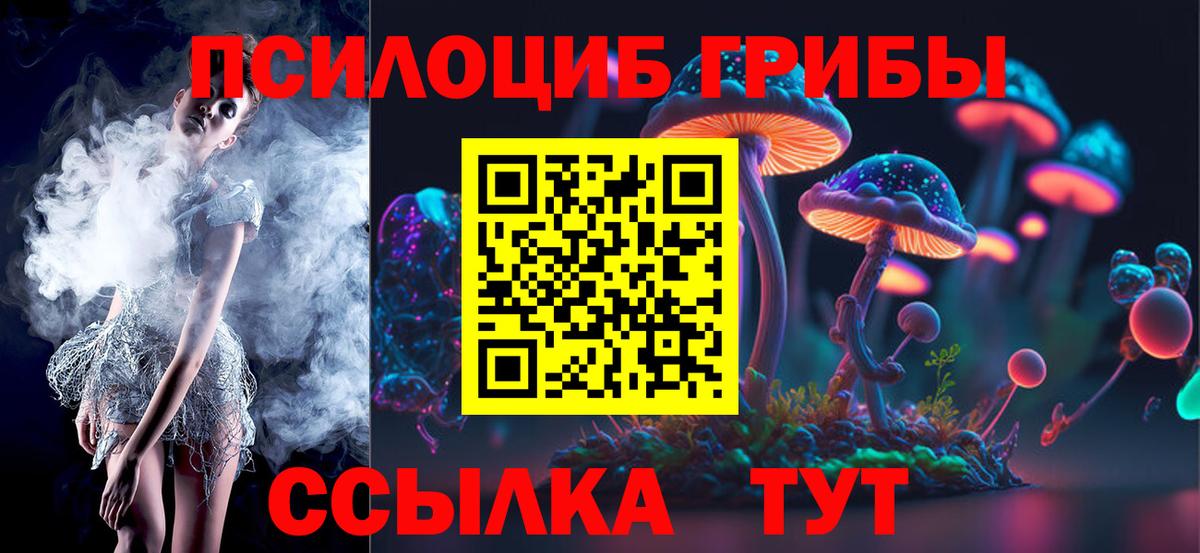 Галлюциногенные грибы Cubensis Тобольск